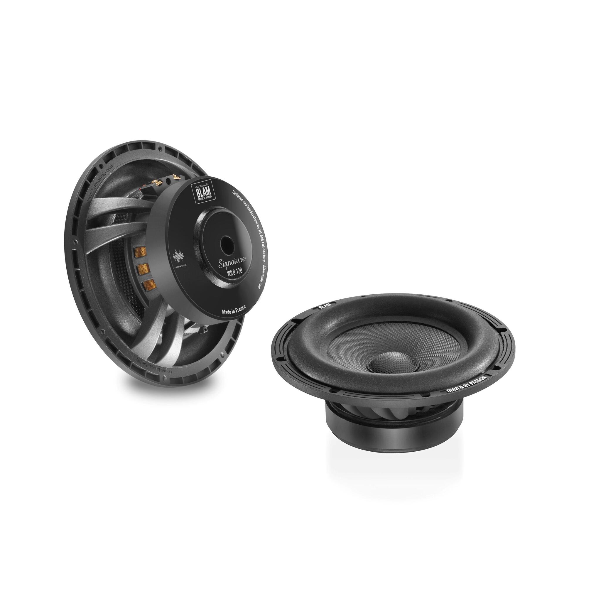 BLAM WS8120